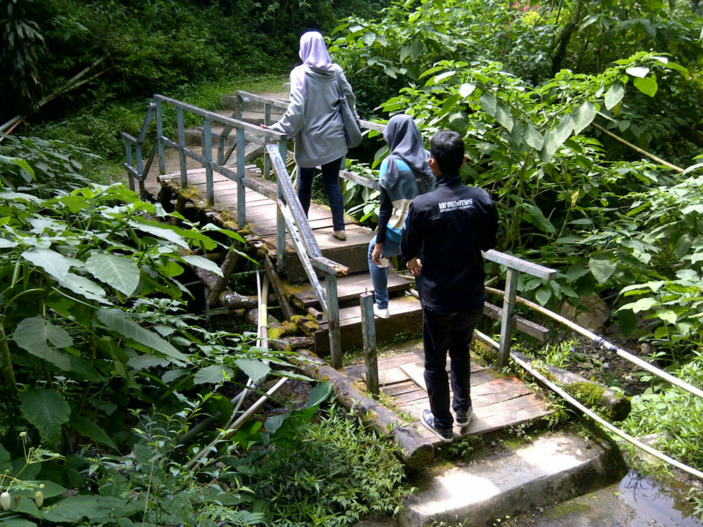 hutan