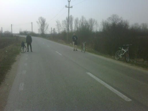 Unlimited Free Image and File Hosting at MediaFire