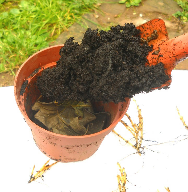 Primo strato di terriccio