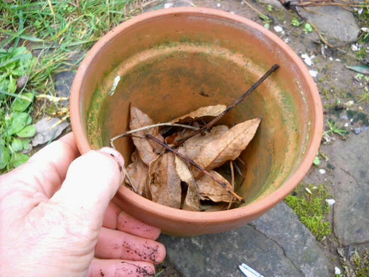Solita preparazione del fondo del vaso