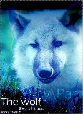 4610af9be5e20d12012f8267a3b773aa3130856429e32426a6679b0562d7a4b54g