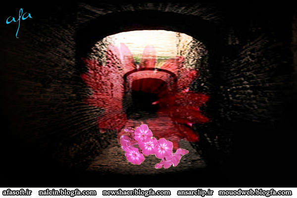 کوچه ی تاریک - سید حمیدرضا برقعه ایی - یاس کبود