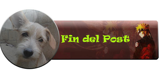 programa programa