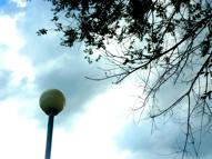 Simple, Free Image and File Hosting at MediaFire