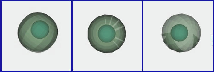 Nucleus
