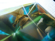 Simple, Free Image and File Hosting at MediaFire