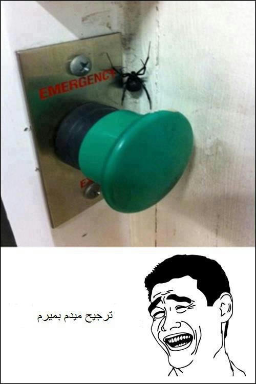 تالارگفتمان 6
