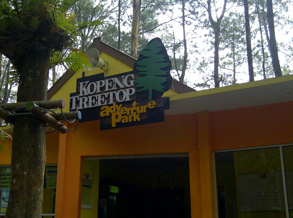 treetop