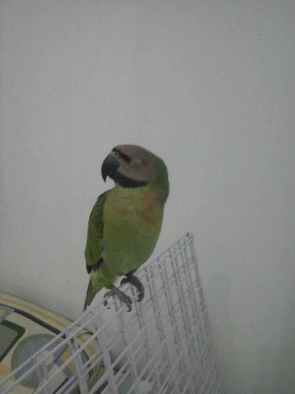 a0a2a7a1316b2a35009c218e875a9a8d2f7e9f6a39b1ae57e0646b4368da5dca6g.jpg