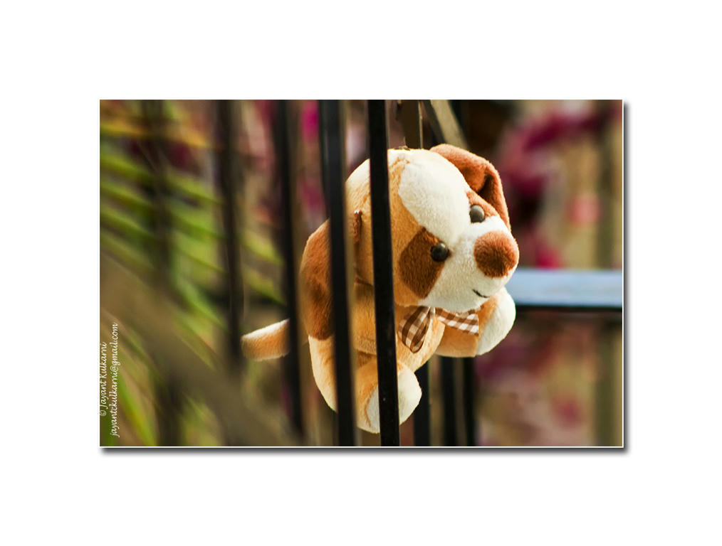 Simple, Free Image and File Hosting at MediaFire