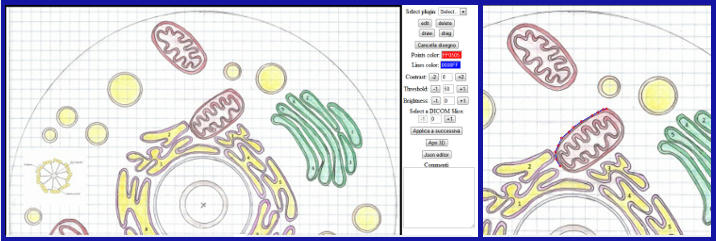 web3d