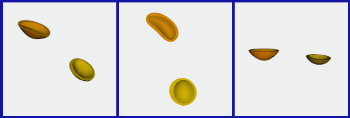 lysosomeVacuole