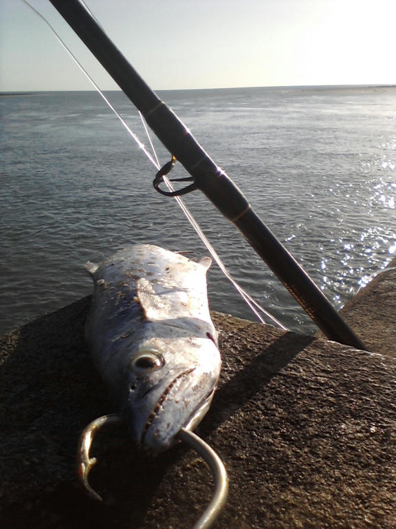 hook up south florida