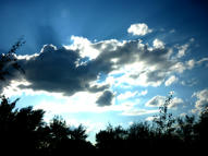Simple, Free Image and File Hosting at MediaFire