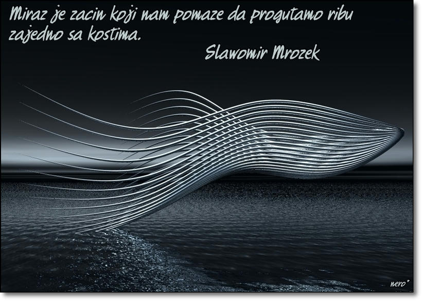 Slika