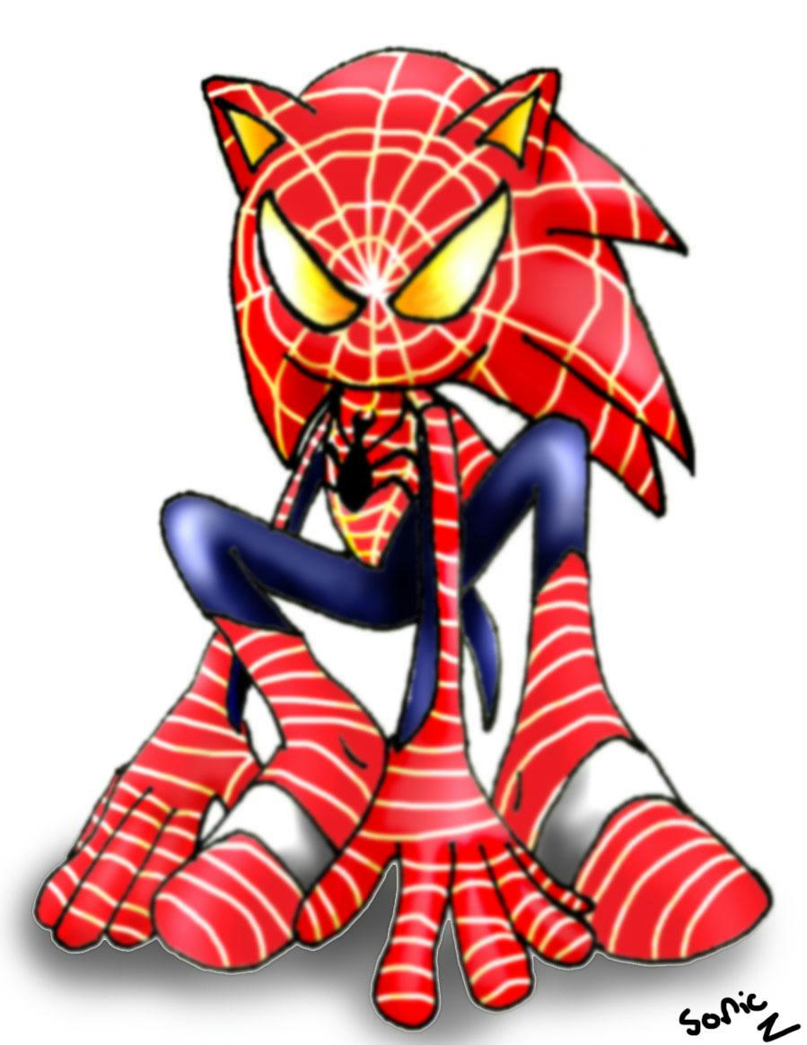 Spider Hedgehog!