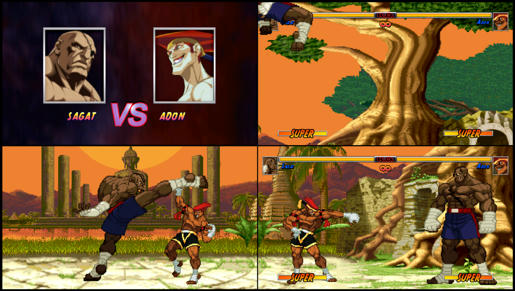 street fighter alpha 2 birdie stage