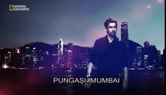 Simple, Free Image and File Hosting at MediaFire