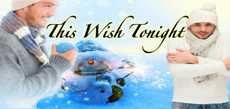 Anthology - This Wish Tonight Banner