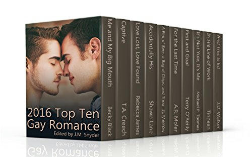 2016 Top Ten Gay Romance Books Banner