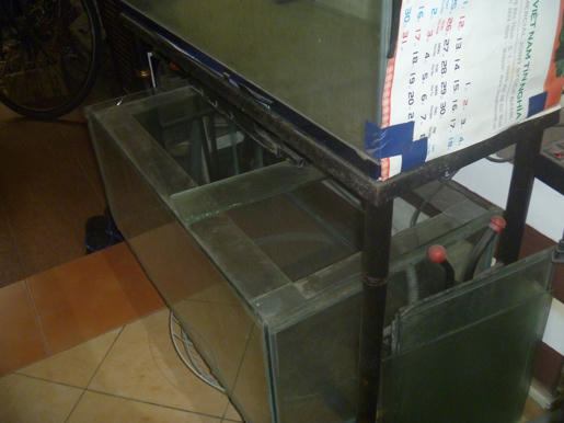 [Q3] - Thanh lý 2 dàn hồ và tặng 3 em mái kè