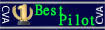 Awarded for collecting the highest number of pilots of the month in an entire year