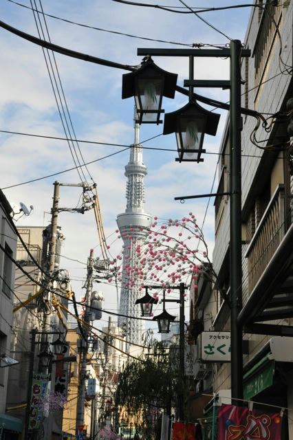 De vuelta al país de mis sueños (ahora con imágenes XDD) - Blogs de Japon - Una interminable salida, llegada a Asakusa (2)