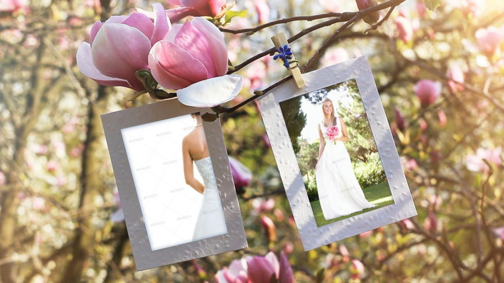 Simple, Free Image and File Hosting at MediaFire