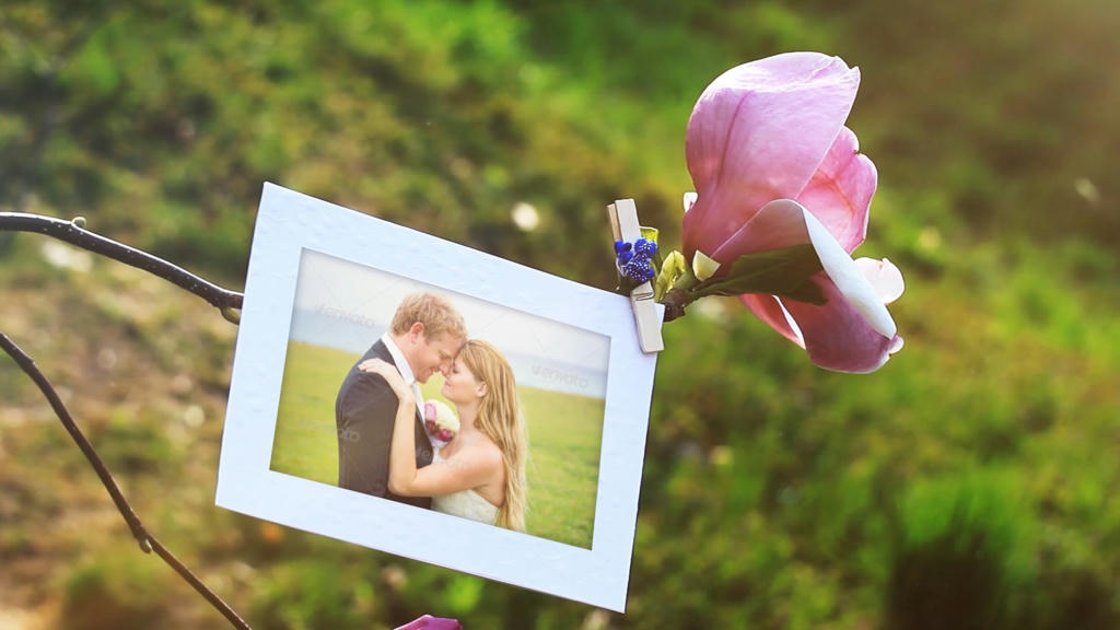 Simple, Free Image and File Hosting at MediaFire