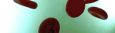 گلبول های قرمز