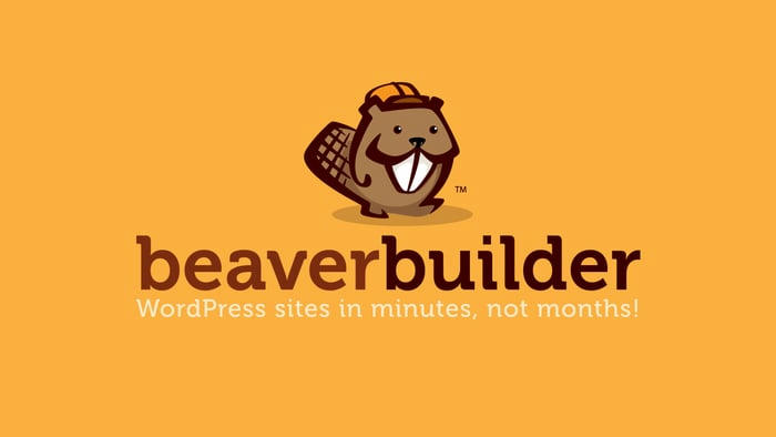 اطلاعات بیشتر در مورد "افزونه صفحه ساز Beaver Builder Pro"