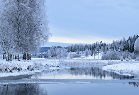 Ingela Bohm Snow pic