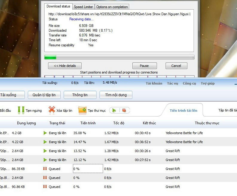 jd5ttbeoa1285dyfg.jpg