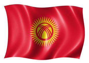 r31455hdl77ylmozg.jpg
