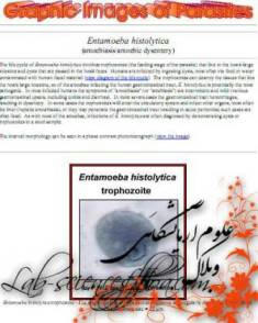 اطلس انگل شناسی