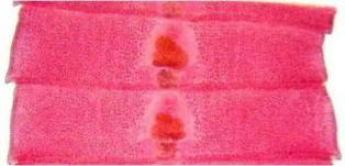 بندهاي ديفلو بوتريوم لاتوم