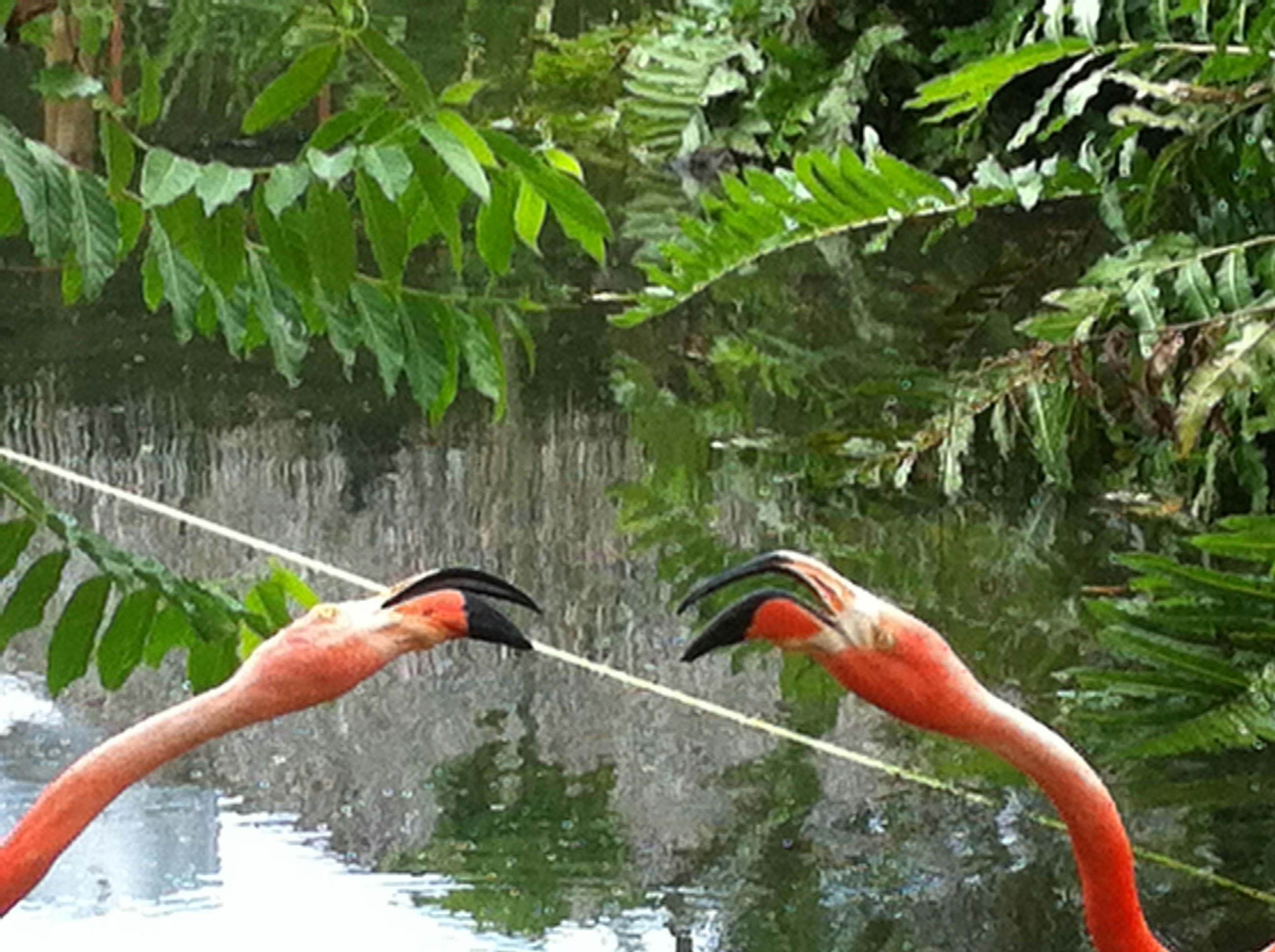 [Image: v5nbev3h8nuvd9afg.jpg]