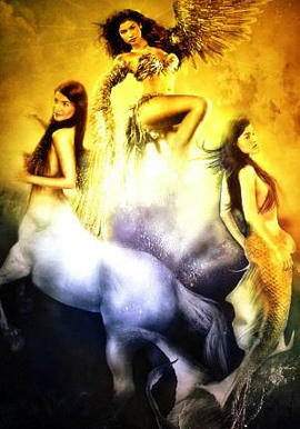 Simple, Free Image and File Hosting at MediaFire