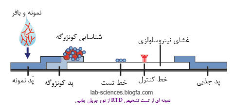 نمونه از تست تشخیصی سریع 