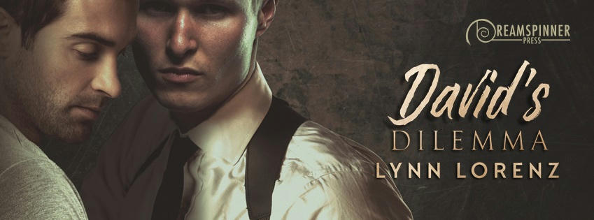 Lynn Lorenz - David's Dilemma Banner
