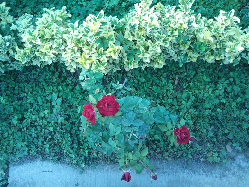 [تصویر: 1kdaztpn540y0b46g.jpg]