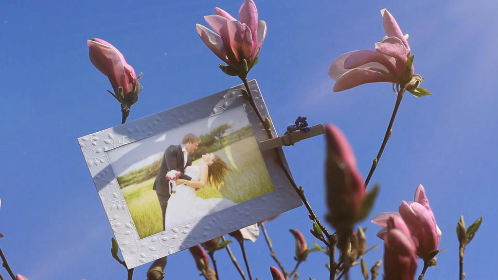 Simple, Free Image and File Hosting at MediaFire