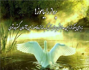 Image result for ‫بهشت همین جاست لازم نیست‬‎