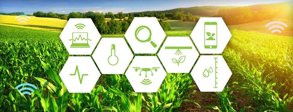 IoT trong nông nghiệp và trồng trọt