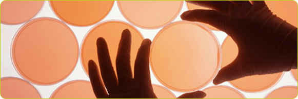 محیط های کشت افتراقی در باکتری شناسی 