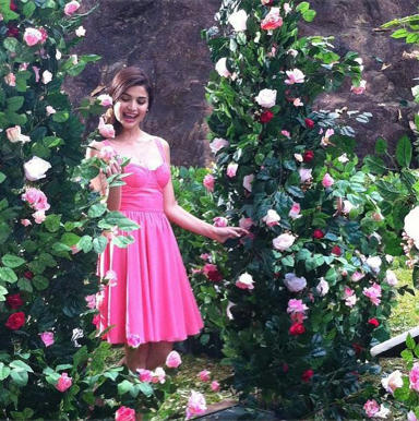 Simple, Free Image and File Hosting at MediaFire