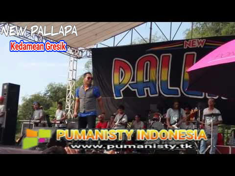 New Pallapa Live Kedamean Gresik 2016