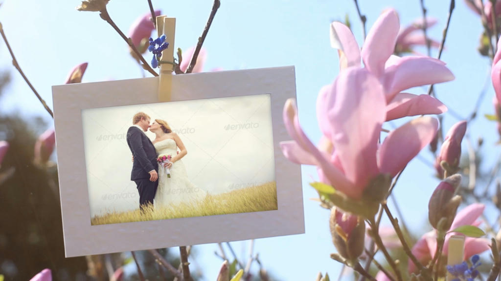 Simple, Free Image and File Hosting at MediaFire