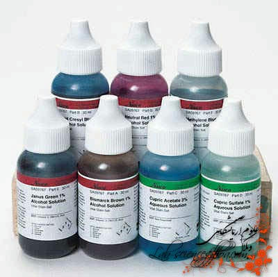 رنگ امیزی باکتری ها و سایر میکروارگانیسم ها 