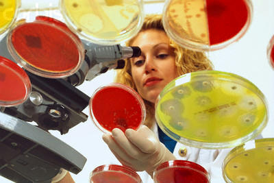 تکنسین در حال کشت باکتری و انجام تست انتی بیوگرام